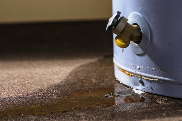 Best Water damage restoration mold remediation  in Martinez, CA