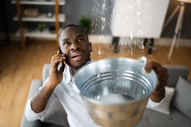 Best Ceiling water damage repair  in Martinez, CA