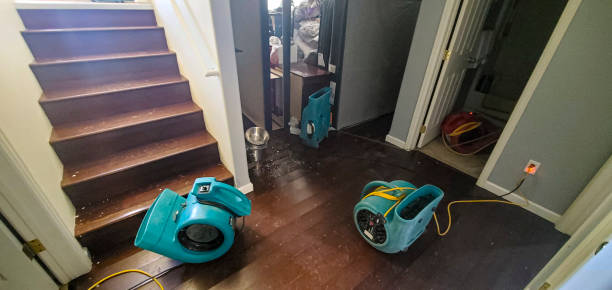 Best Fire Damage Restoration  in Martinez, CA