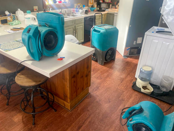 Best Water damage restoration cost  in Martinez, CA