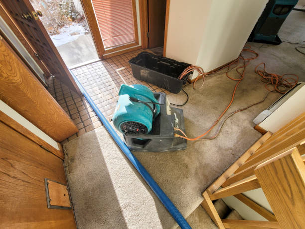 Best Flood restoration services  in Martinez, CA
