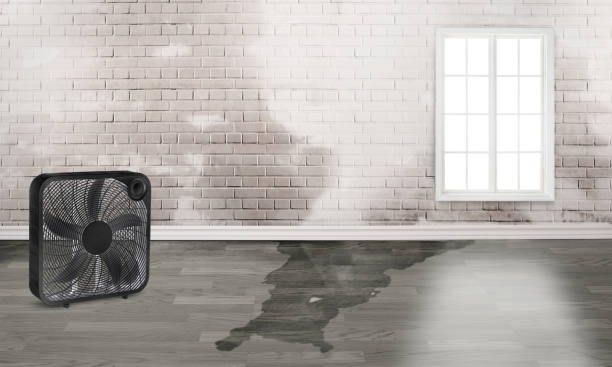 Best 24/7 water damage repair  in Martinez, CA