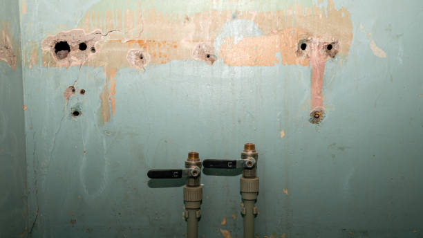 Best Local water damage restoration  in Martinez, CA