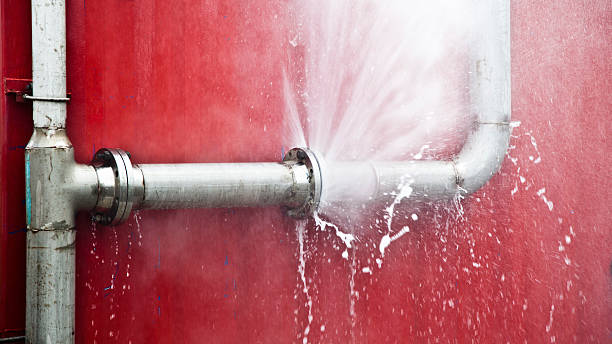 Best Mold removal after water damage  in Martinez, CA